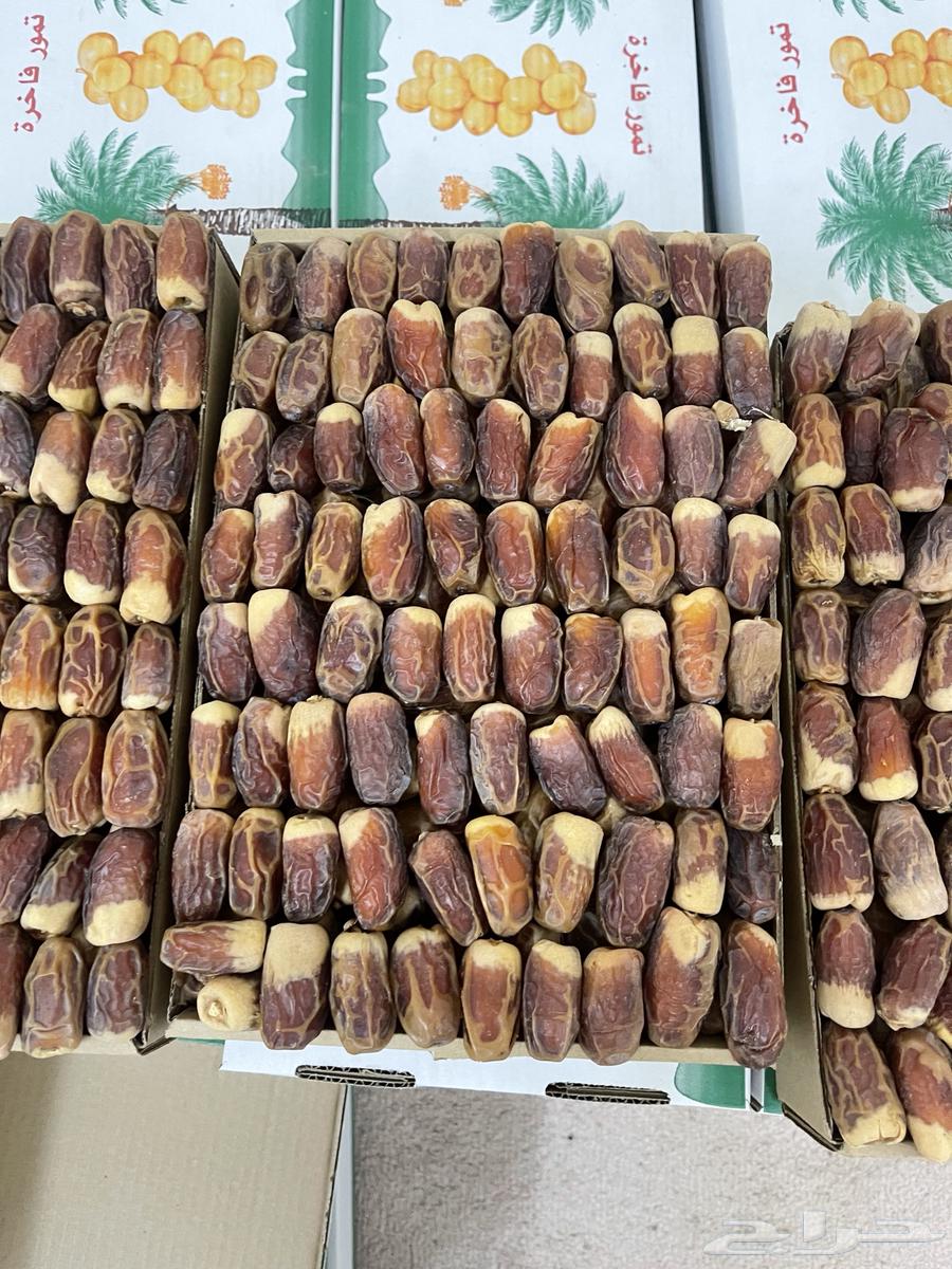 Tamr Sugaie64508859669633112