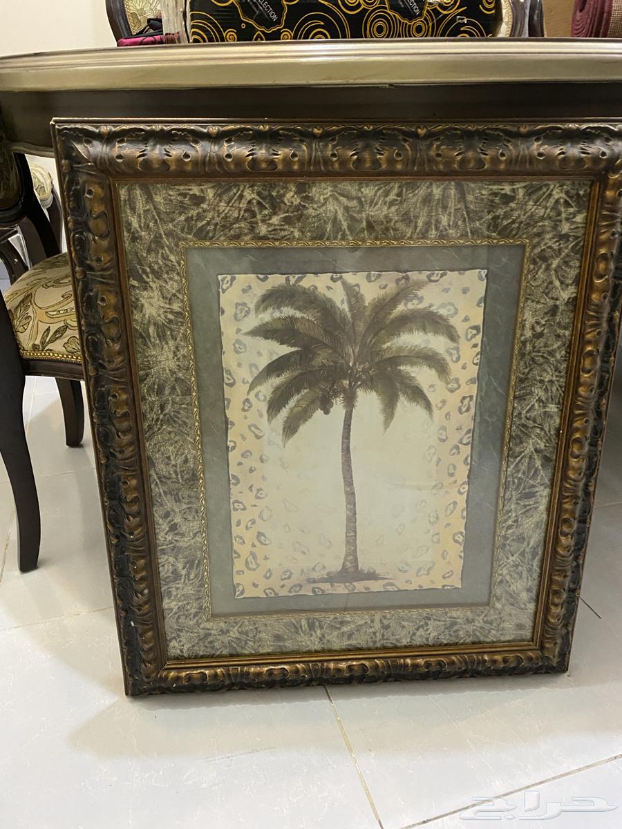 Boards of different sizes64506507328387111