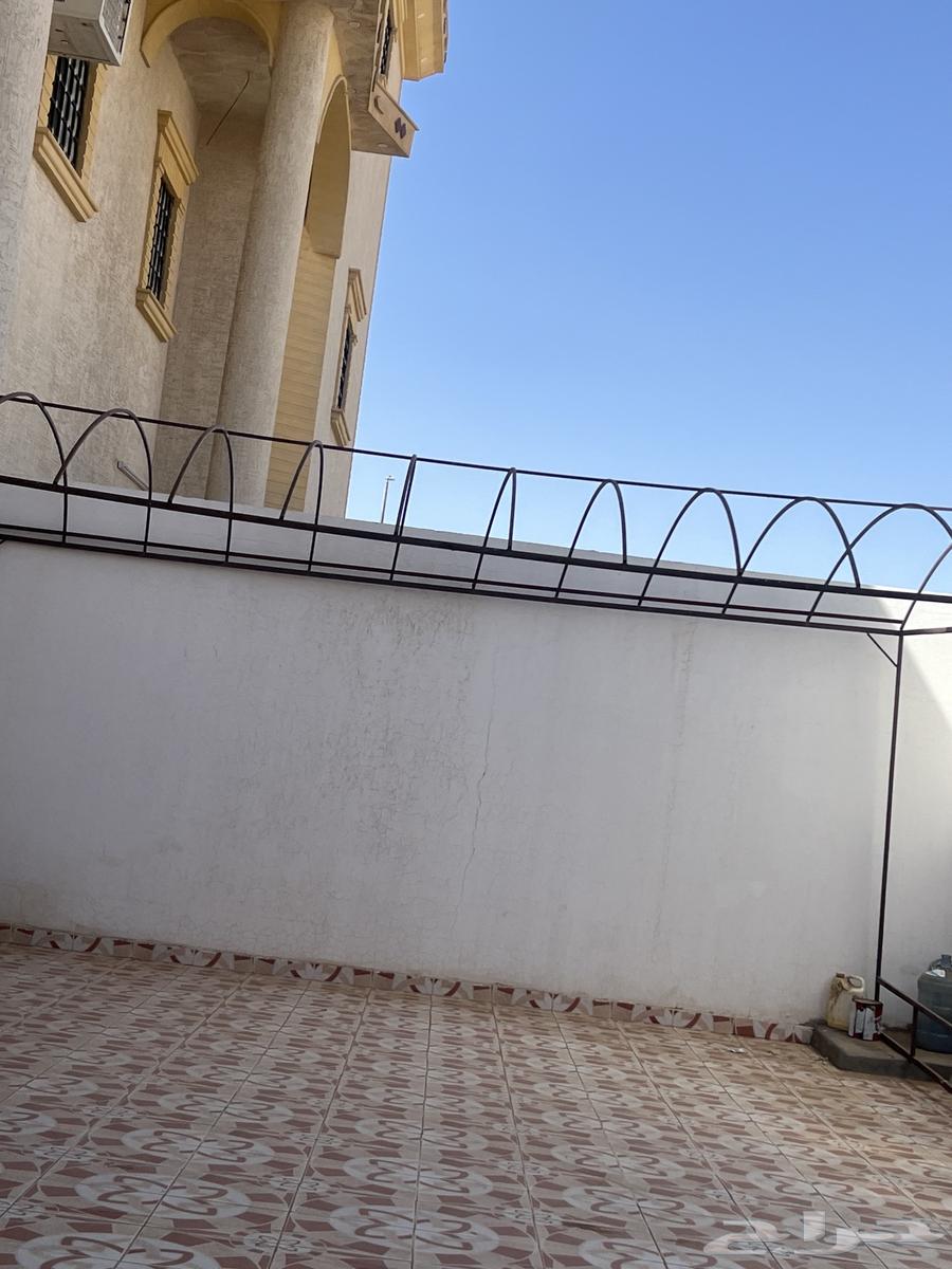 فلتر قلاي هو ئيه خيمه حديد64510775185537113