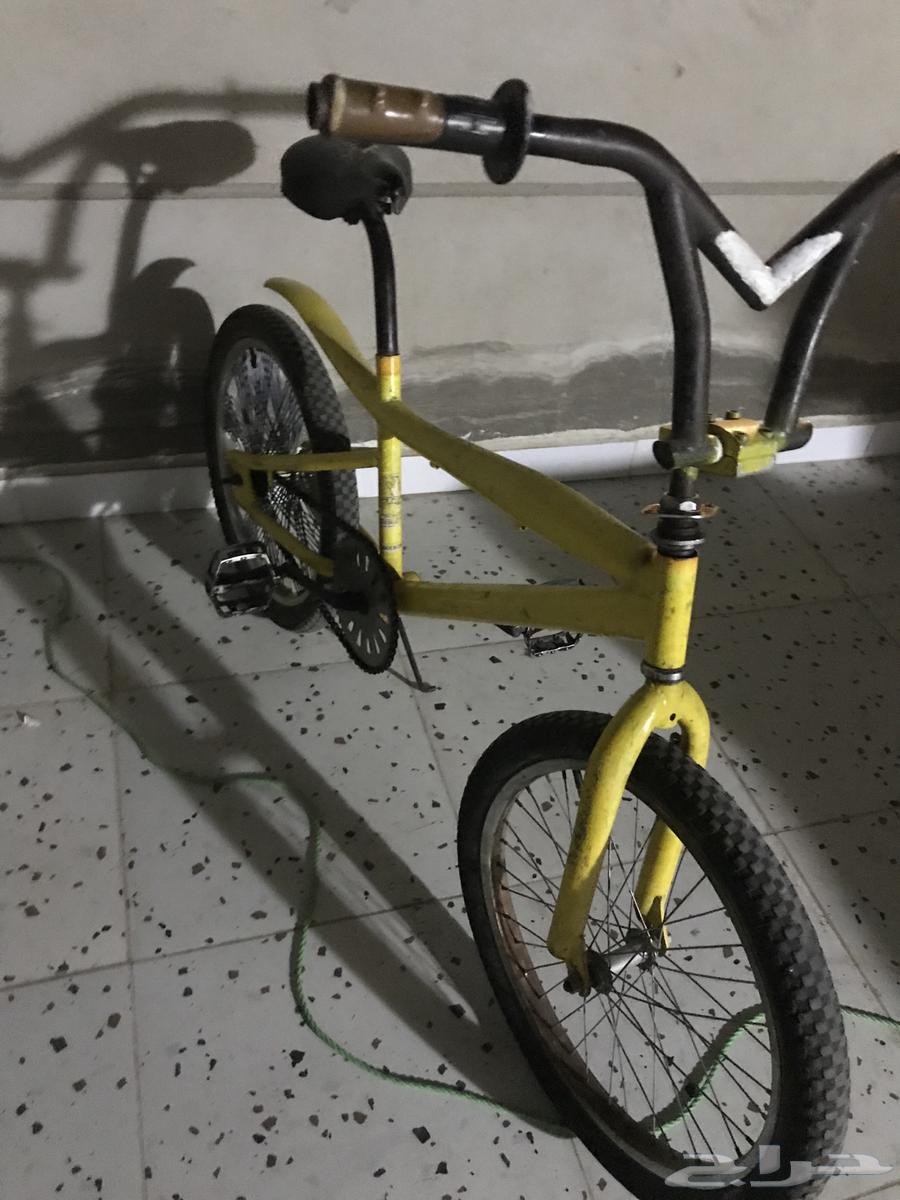 Bicycle64510352570113111