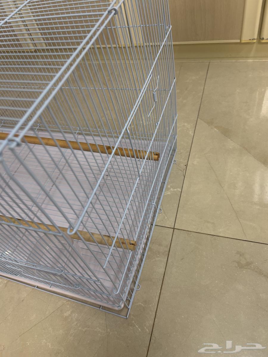 للبيع قفص 61064501636303363113