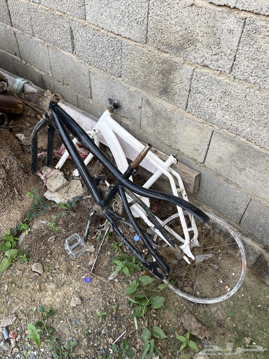 هيكل سيكل كوبرا و رامبو64506704026370113