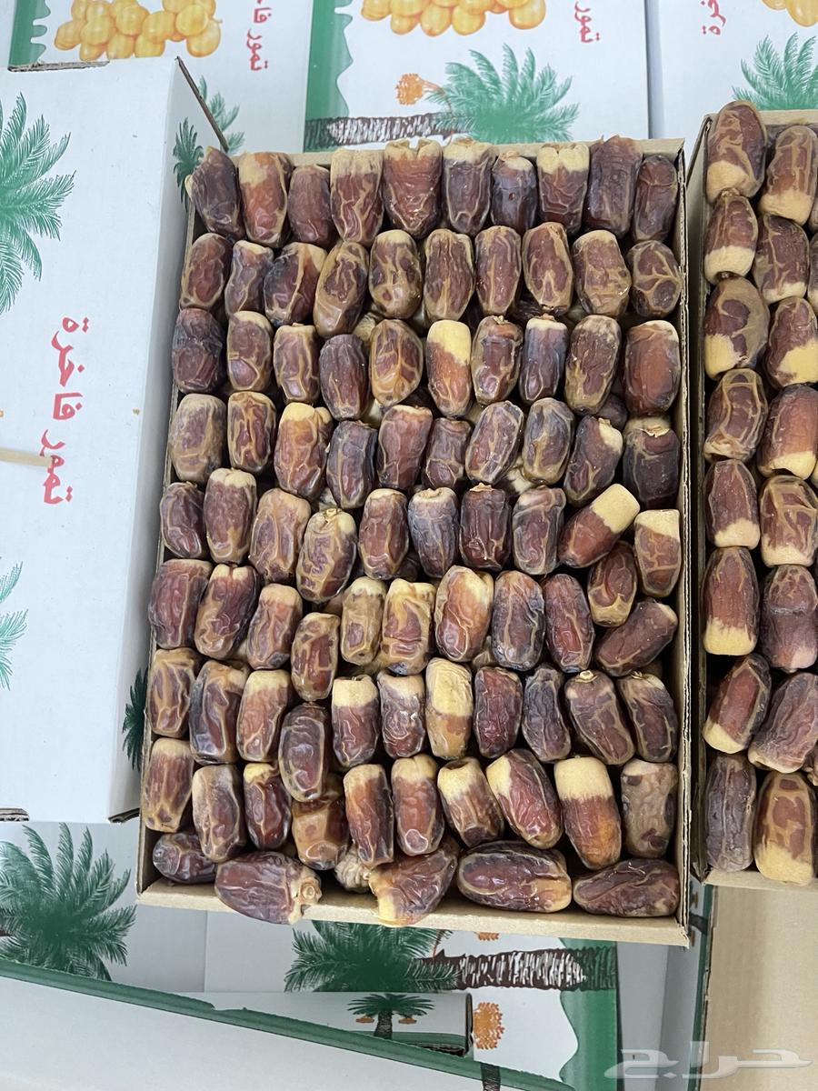 Tamr Sugaie64508859669633114