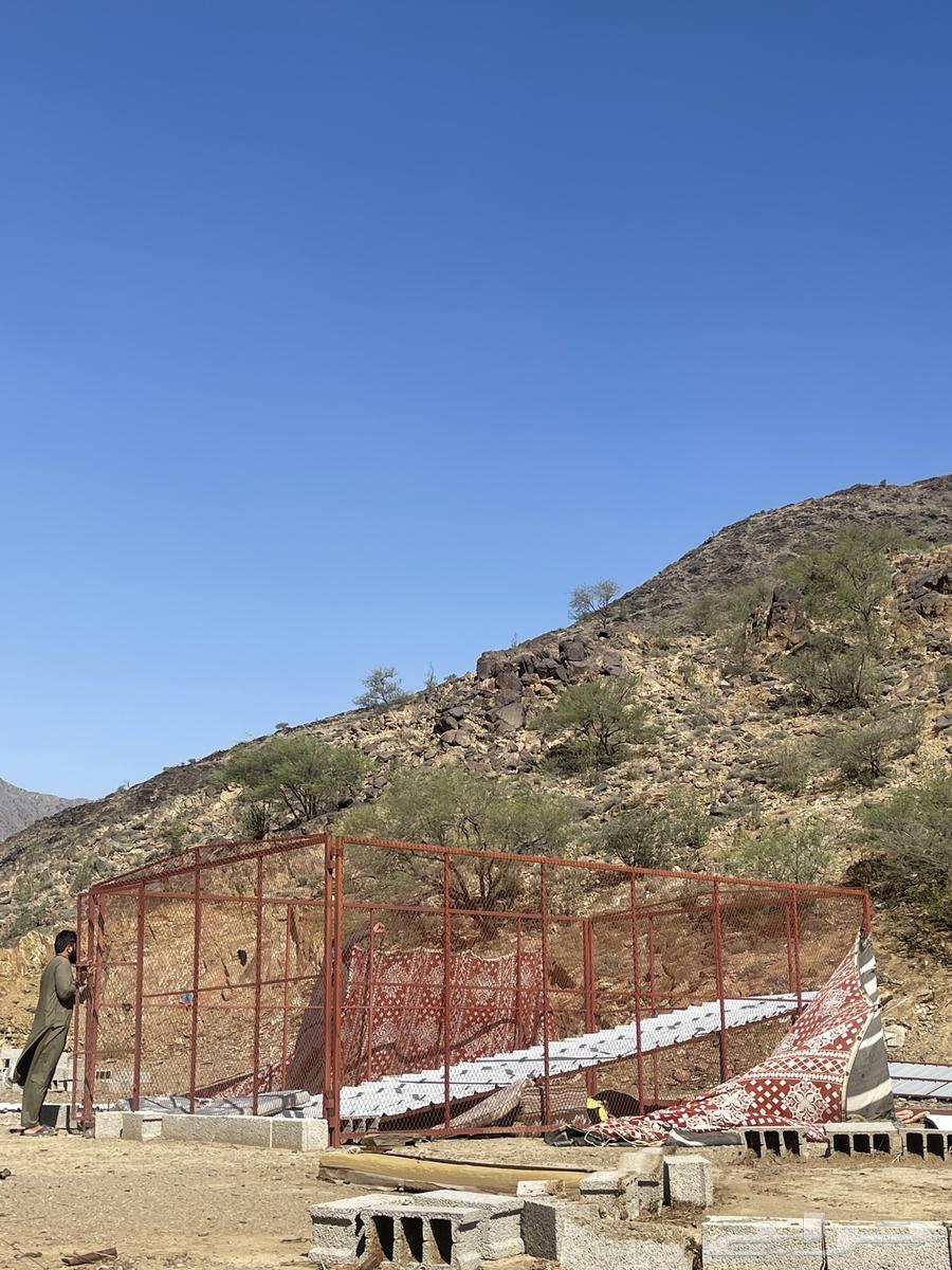 شبوك 4 في 6 نظيفه للبيع64504530960001110