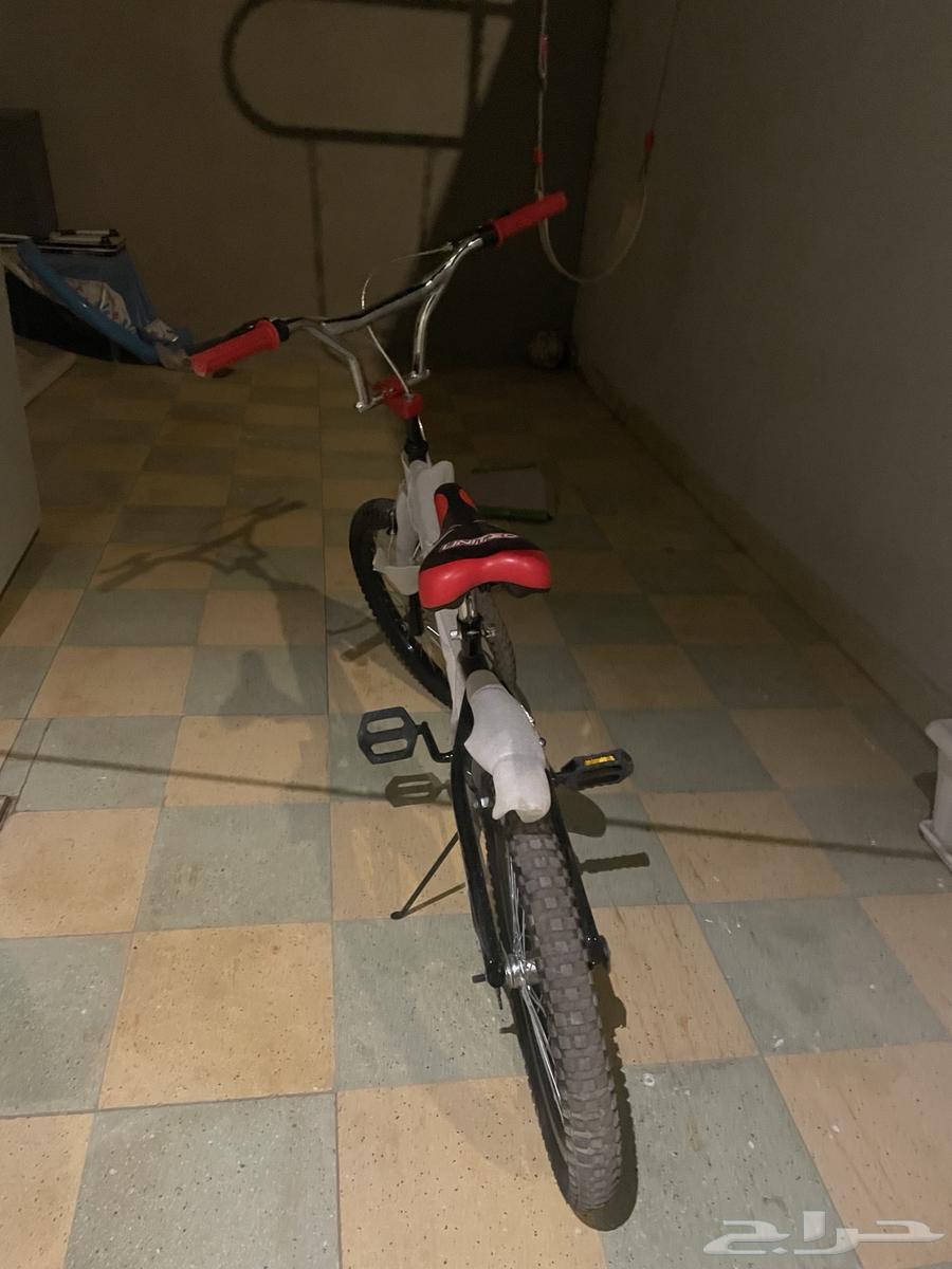 سيكل كوبرا مقاس 20 جديد كليا64509575029762114