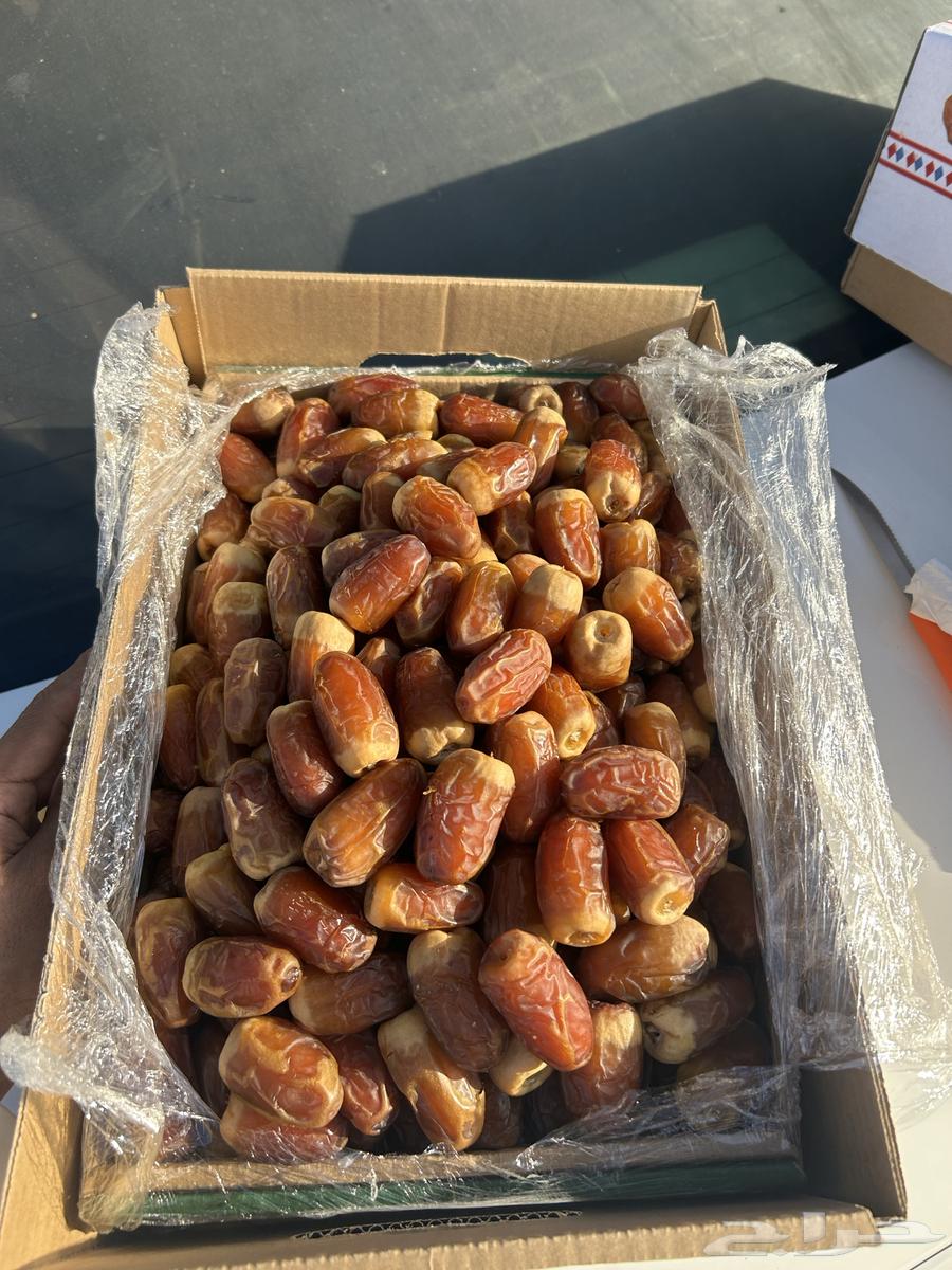 تمر صقعي فاخر عرض خاص توصيل مجاني64507431451649110