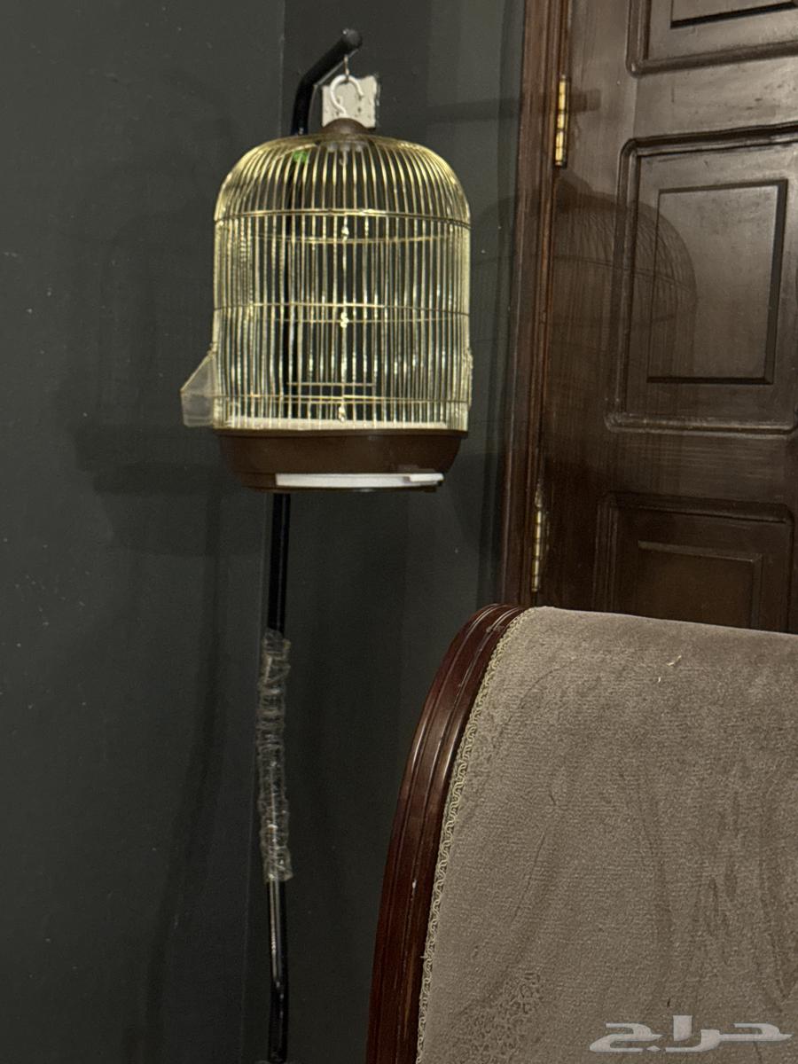 قفص عصفور للبيع64504860054914110