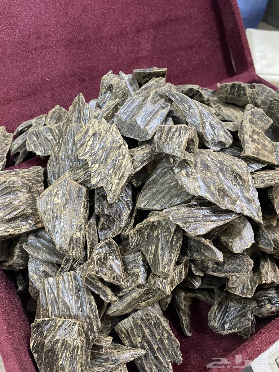 Kolmantan wholesale price, good oud don't miss it64503199925251111