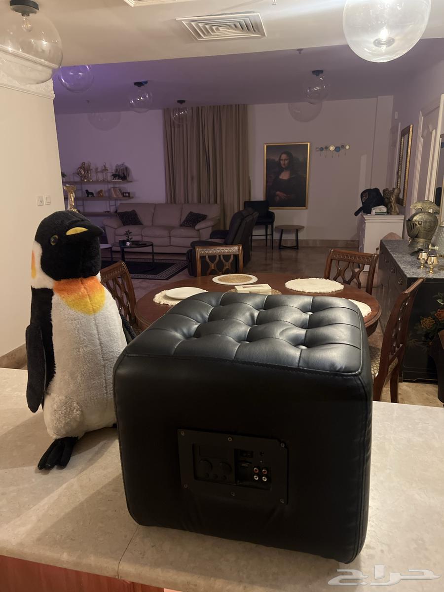 كنبة صغيرة جلد من اي ديزاين و قيتار مستعمل شبه جديد64508383352322110