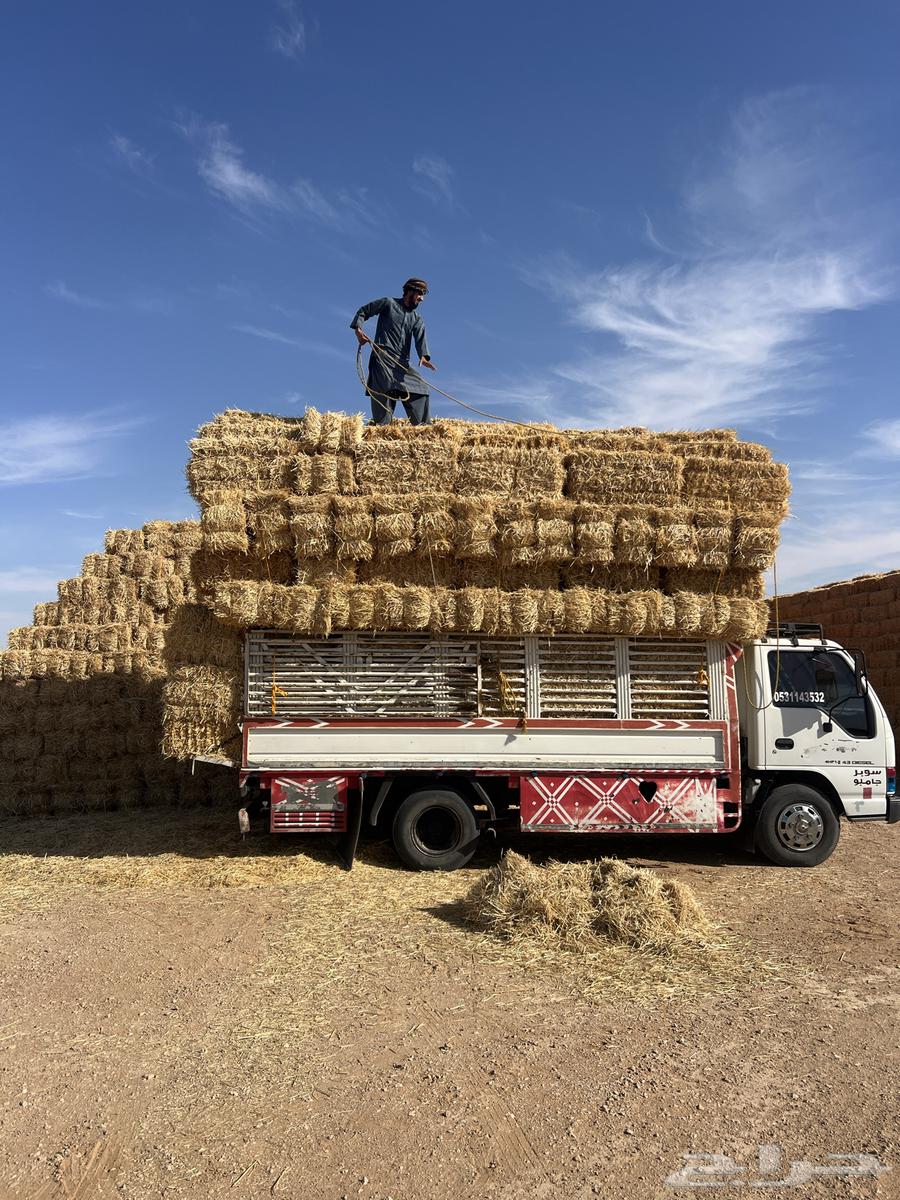 تبن بر جديد64504379295619111