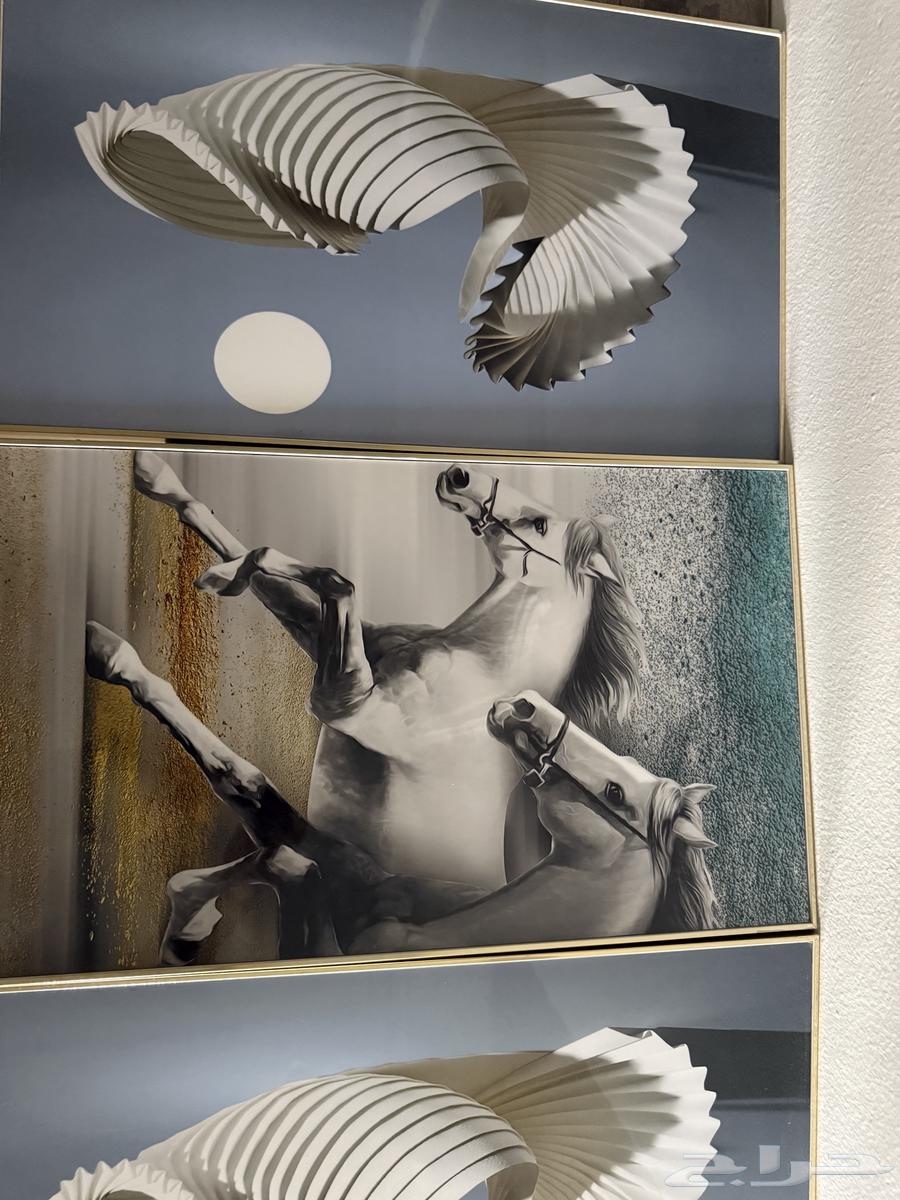 Boards64507824172673111