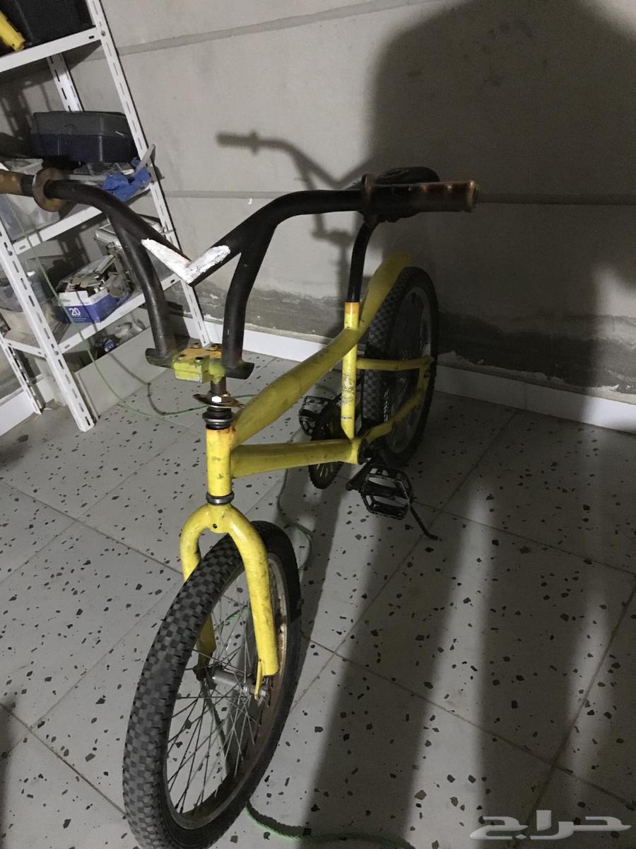 Bicycle64510352570113110