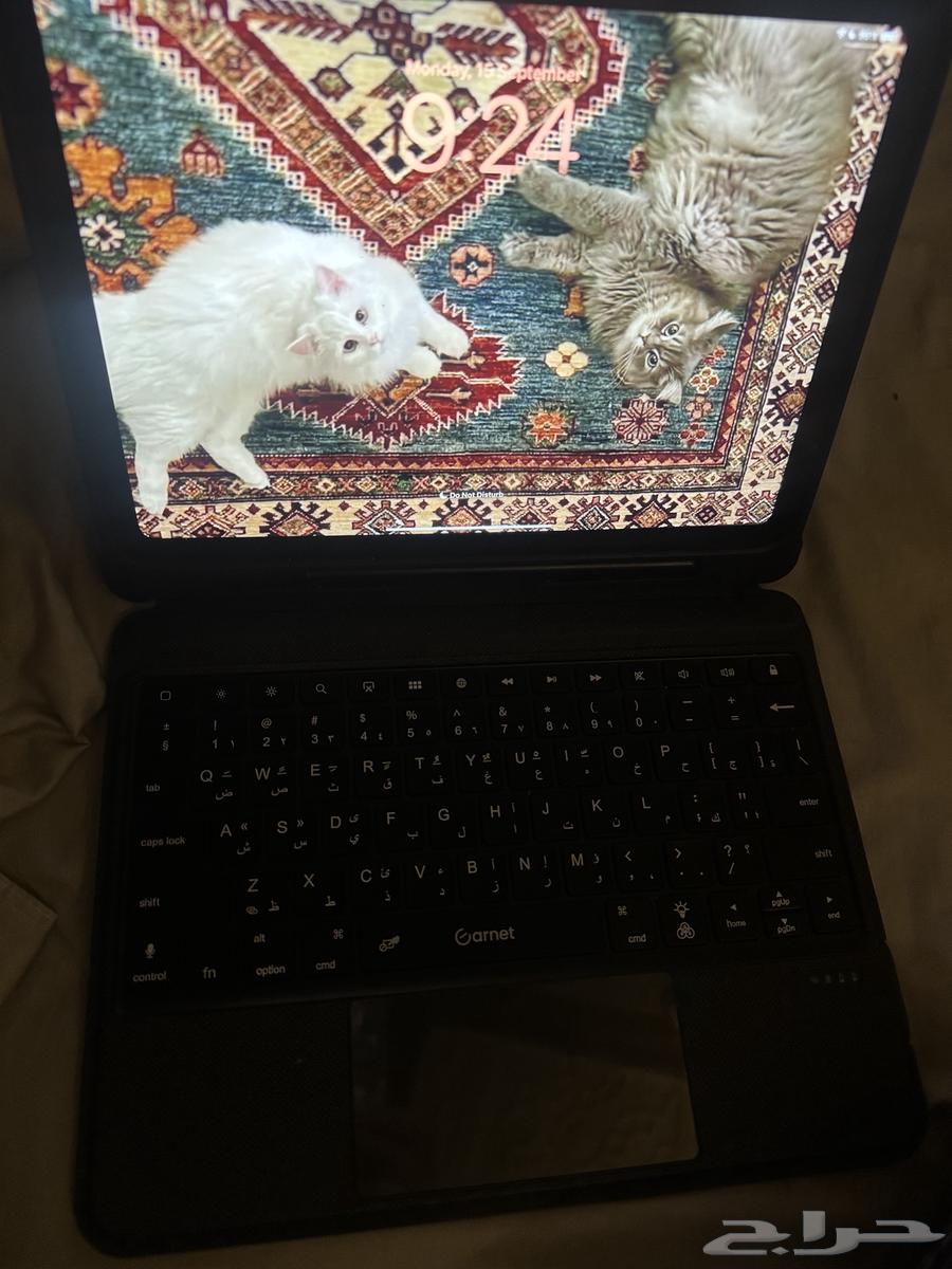 ايباد A1664509700780033113