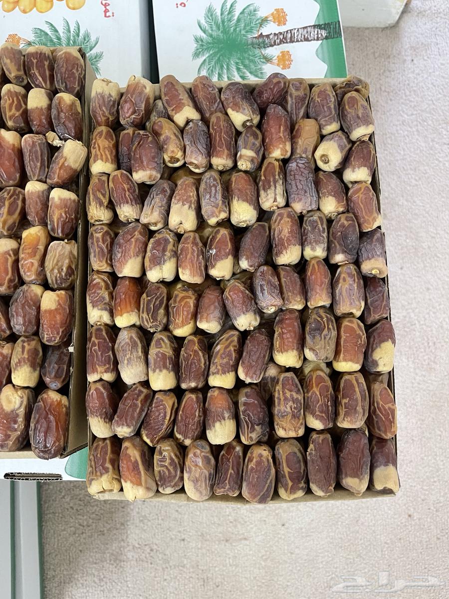 Tamr Sugaie64508859669633111