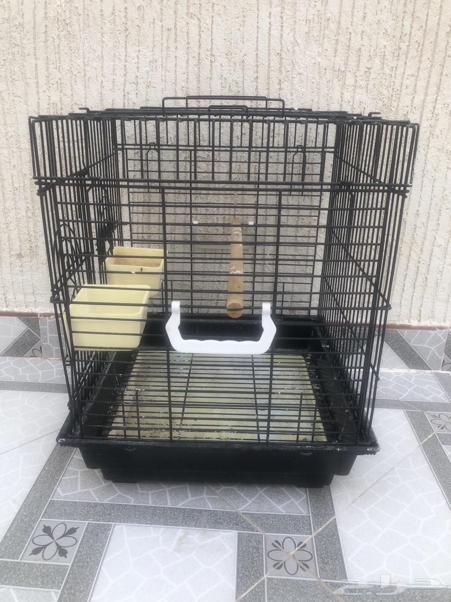 قفص بغبغاء64505710490497111