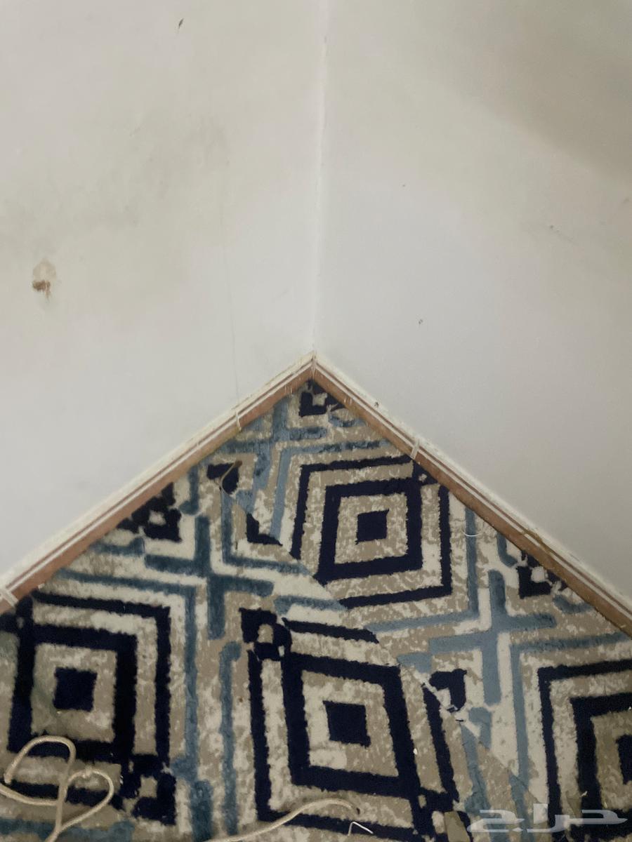 Star and set of sessions number of sessions 10 with mat64507879974275113