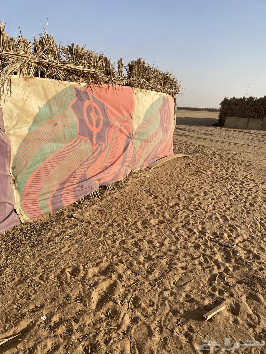 Sail suitable for shade, dust protection, or barrier64503884854529110