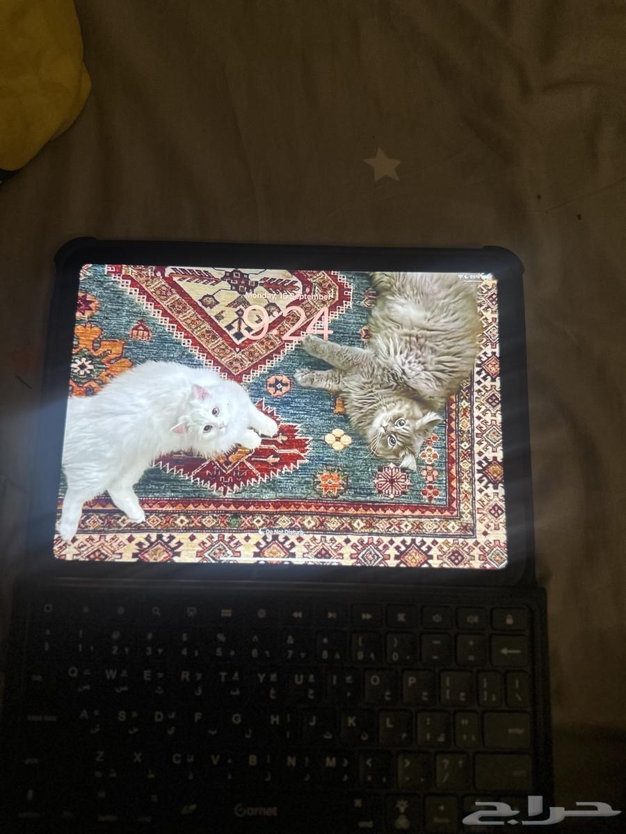 ايباد A1664509700780033114