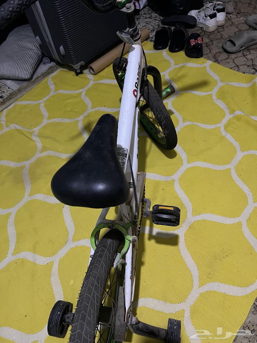 دراجه ممتازه للبيع السعر 100 بس64504078324098112