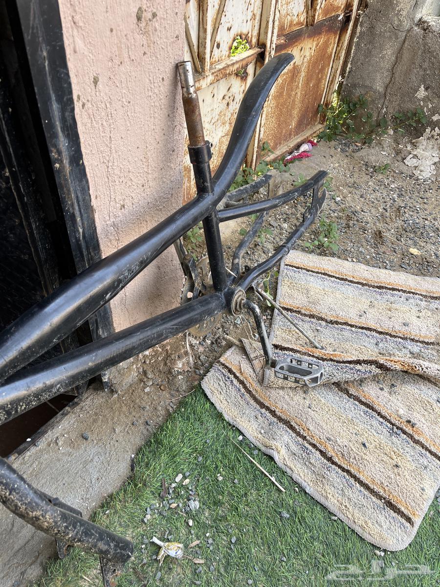 هيكل سيكل كوبرا و رامبو64506704026370112