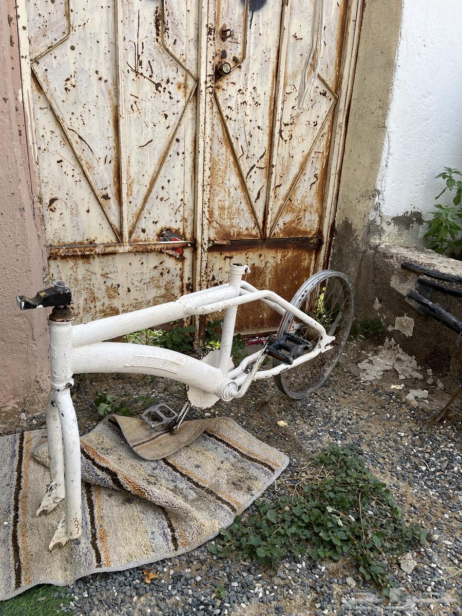 هيكل سيكل كوبرا و رامبو64506704026370111