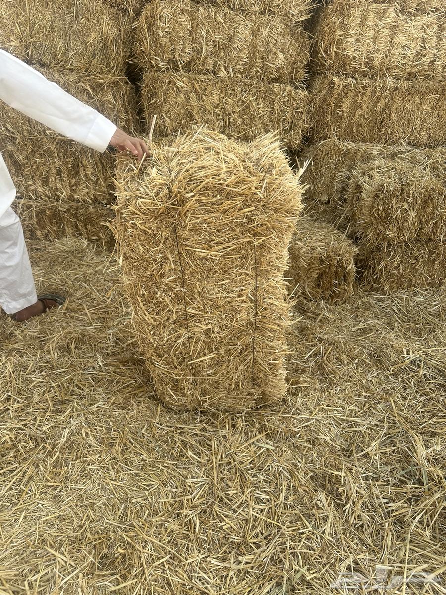 تبن للبيع شد متر 95 9064510747037059111