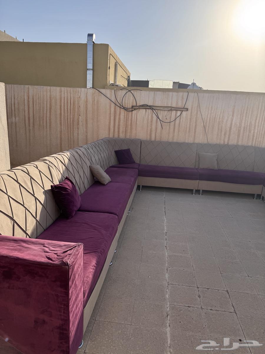 كنب للبيع64507824045443114