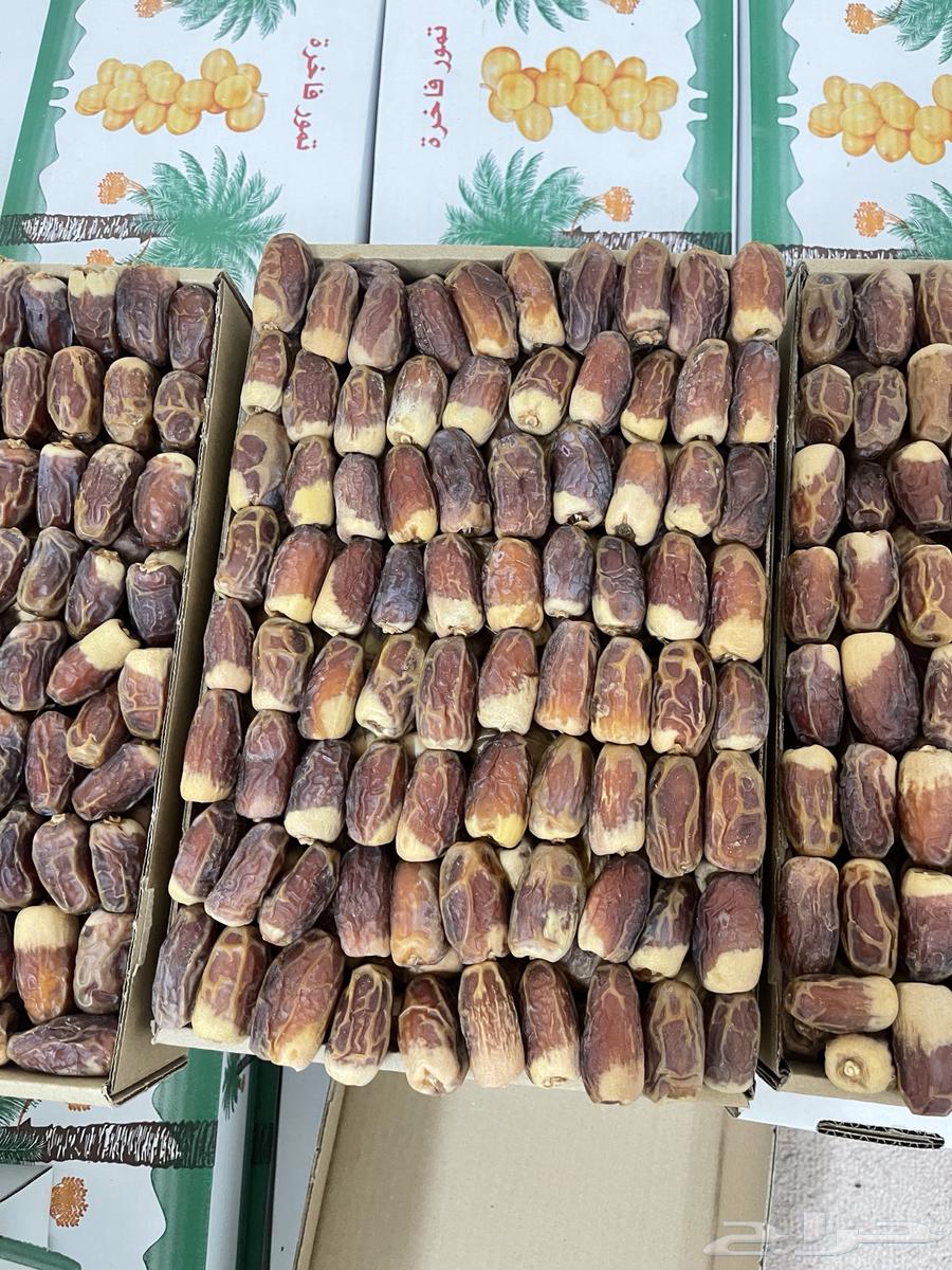 Tamr Sugaie64508859669633110