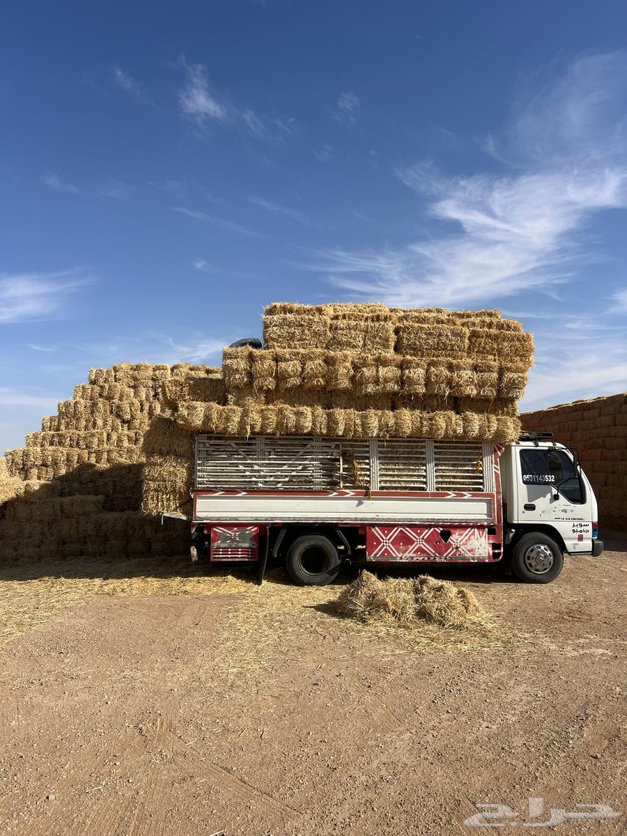 تبن بر جديد64504379295619110