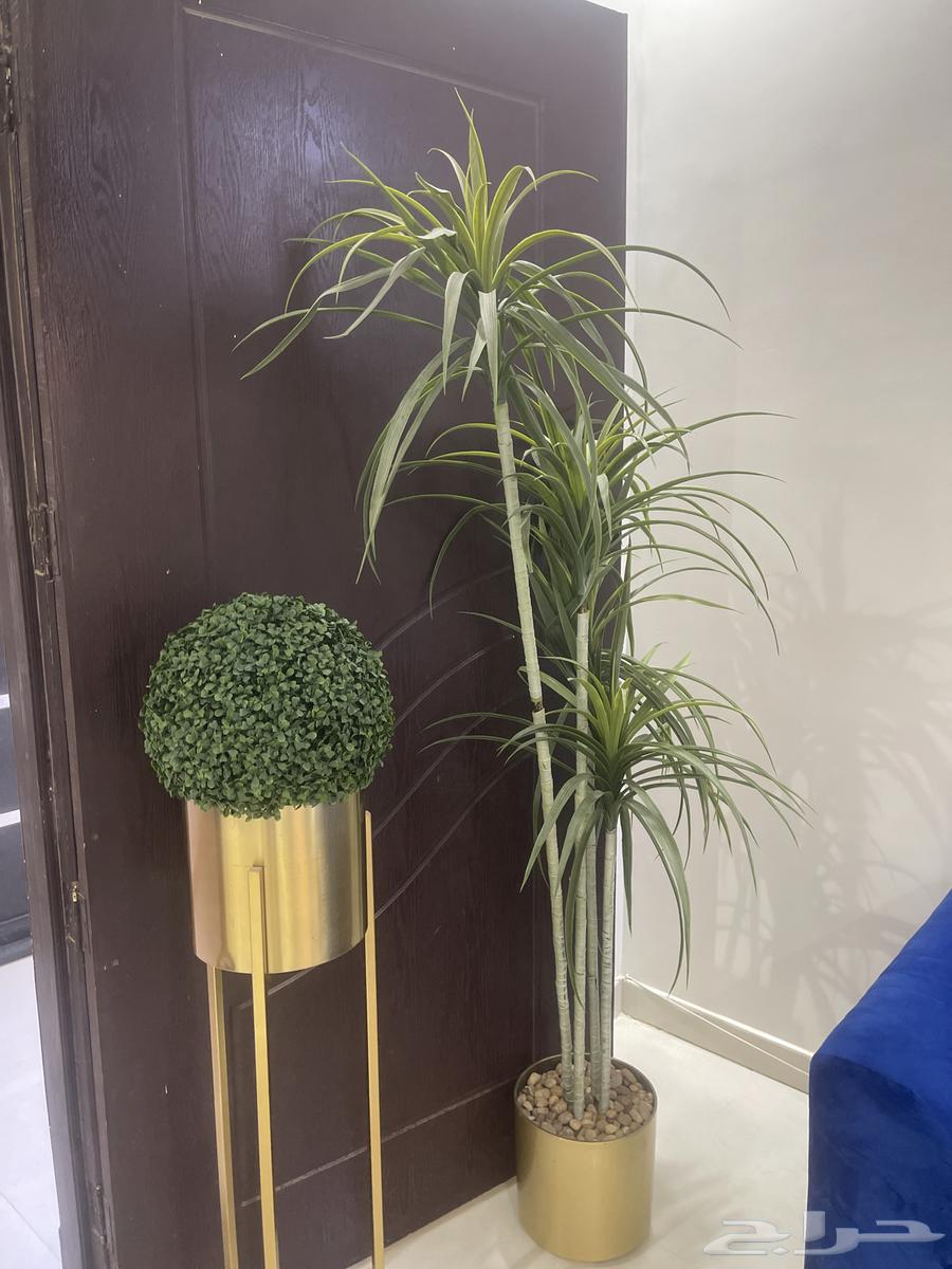 New service tables and two new chairs available64507598908163113