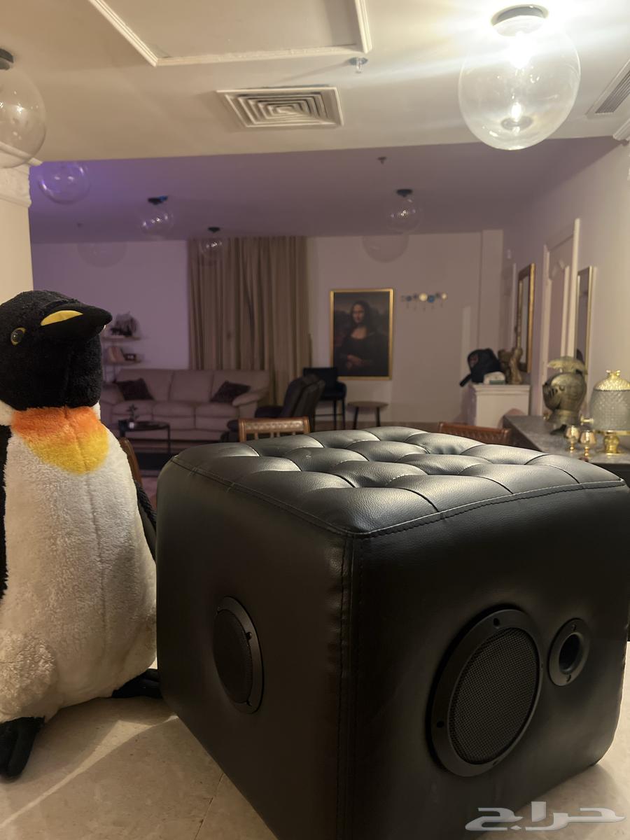 كنبة صغيرة جلد من اي ديزاين و قيتار مستعمل شبه جديد64508383352322112