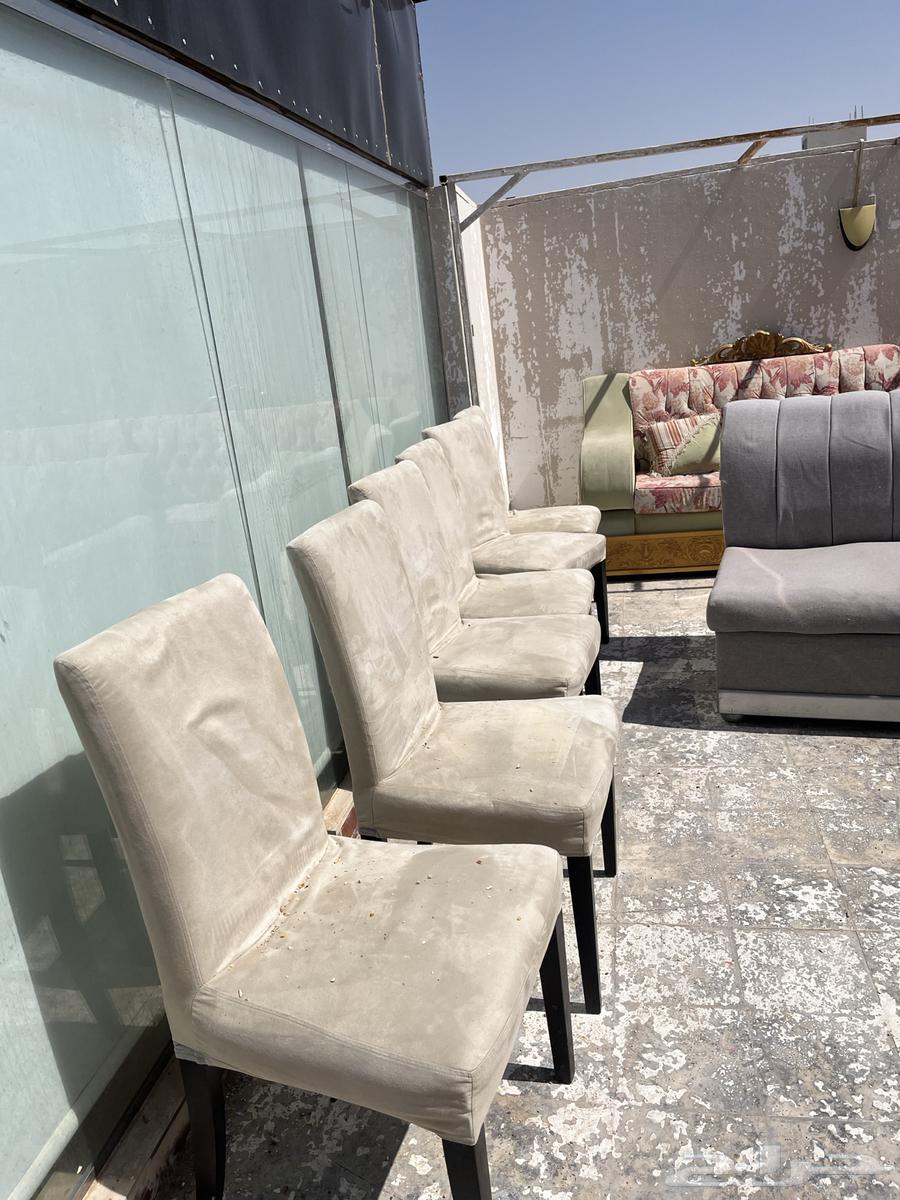 يوجد اثاث للبيع كنب وكراسي طاولات64506146478593114