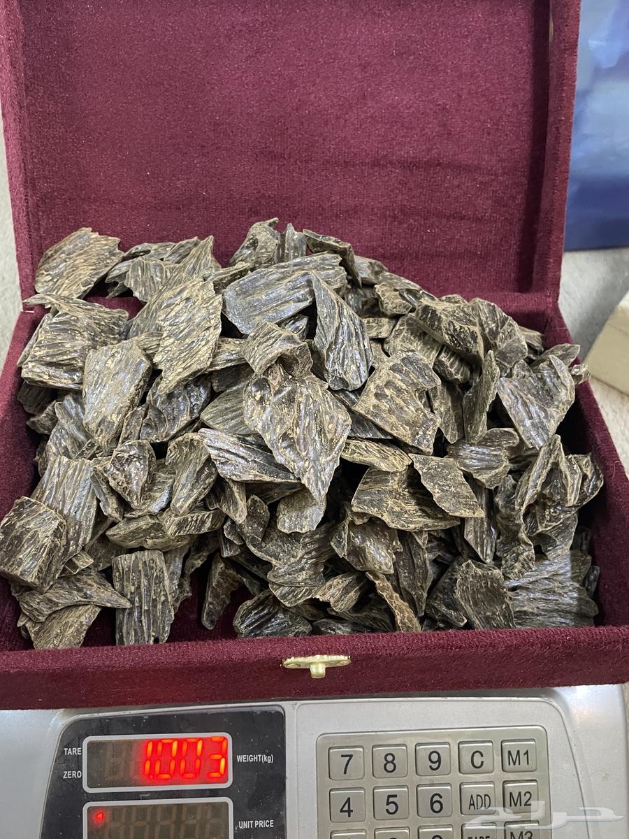 Kolmantan wholesale price, good oud don't miss it64503199925251112