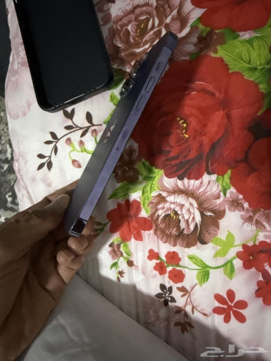 جوال آيفون بروماكس موف 256 قيقا شحن 100 نظيف بكرتونه64503760682498112