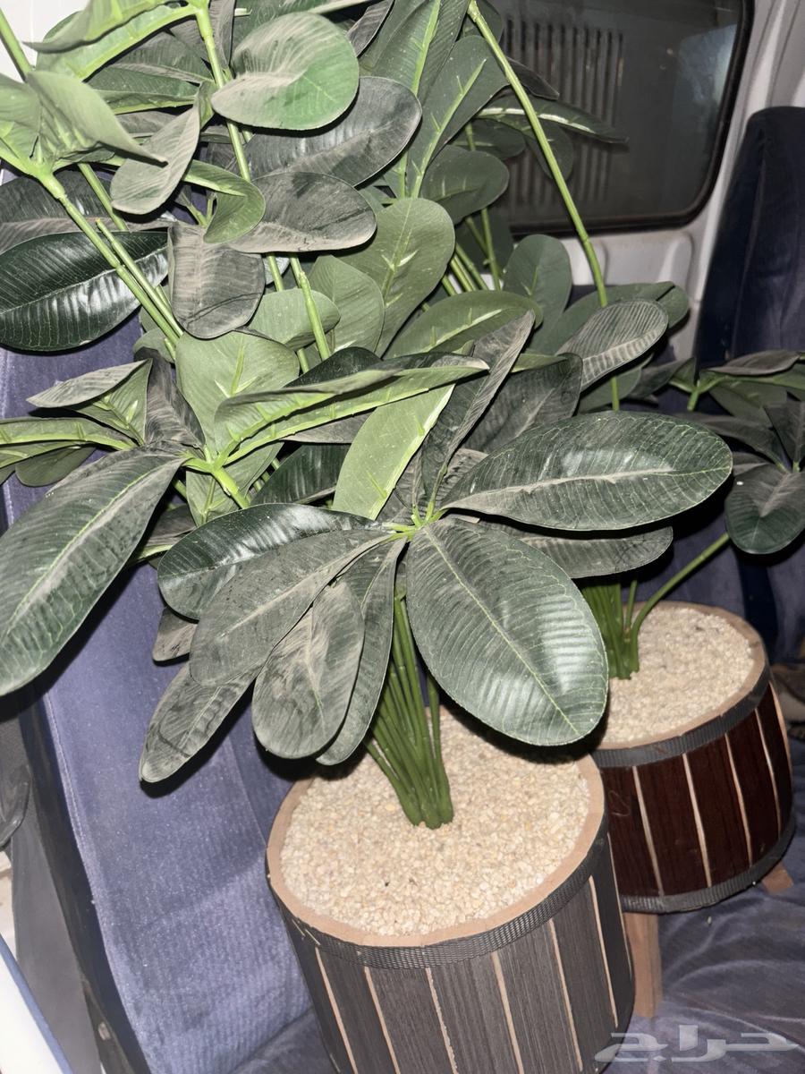 Semi-new tables64509321495683113