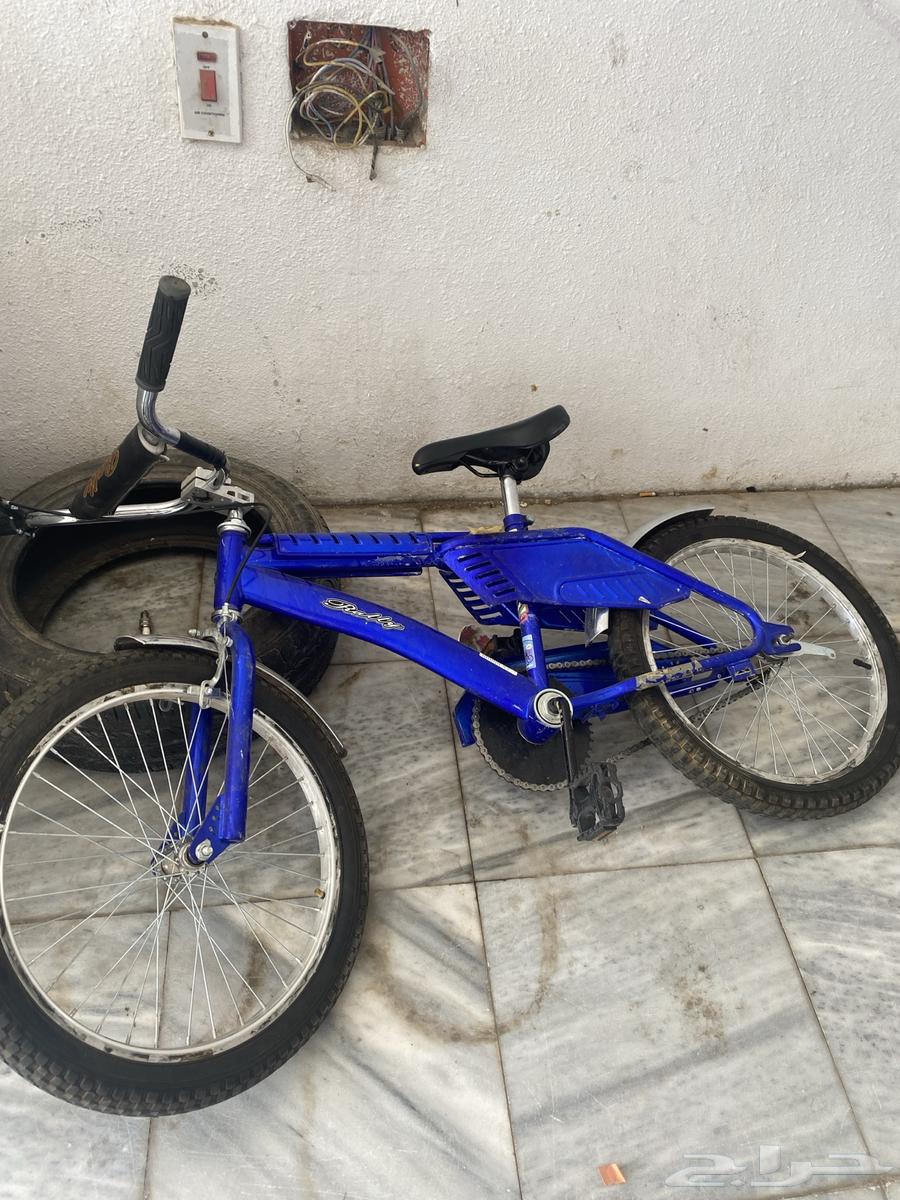 Sikl Rambo everything is fine but without a background salary64507977574145110