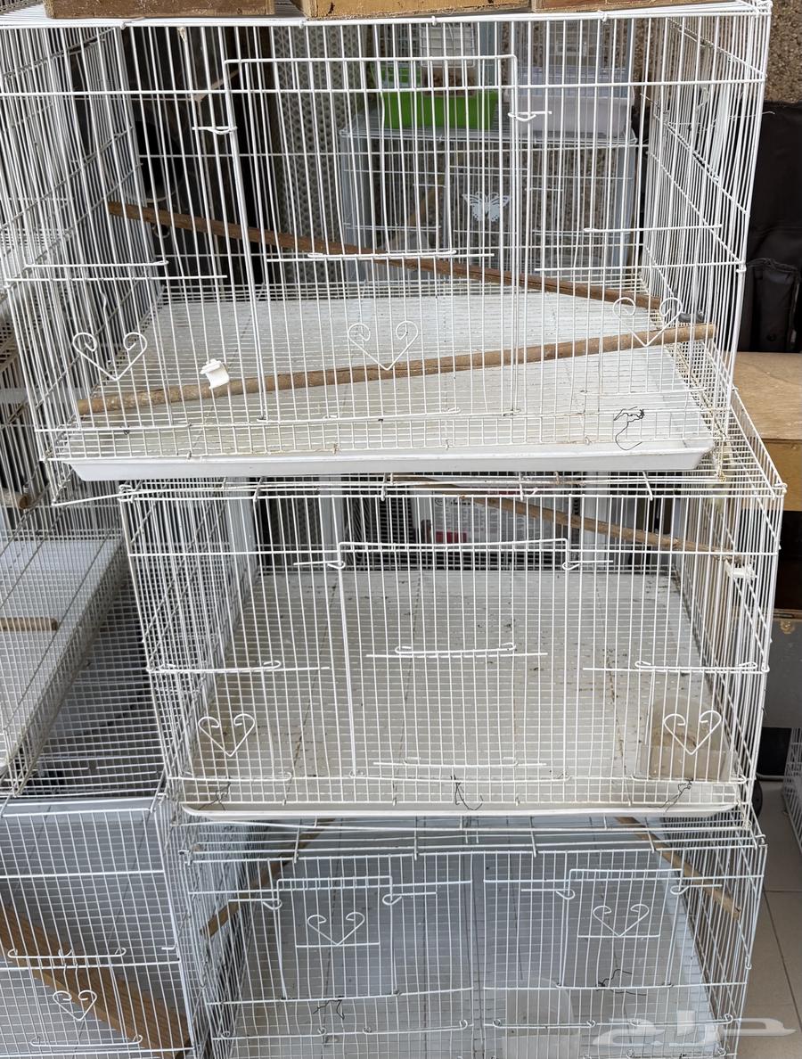 اقفاص 601 للبيع64508831478147111