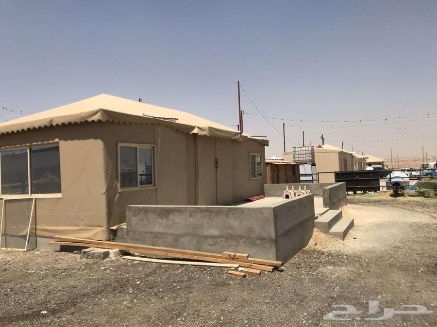 شبك ابل للبيع بسوق طويق بجوار بندر الجافل64506174580098111