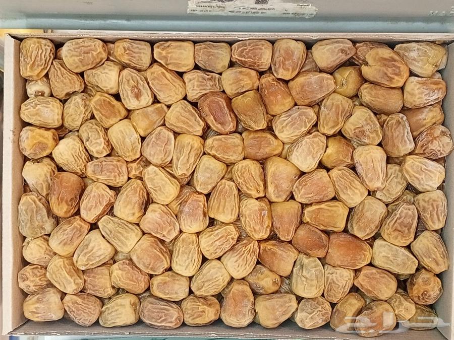 Twisted Sugar Dates64509448345601110