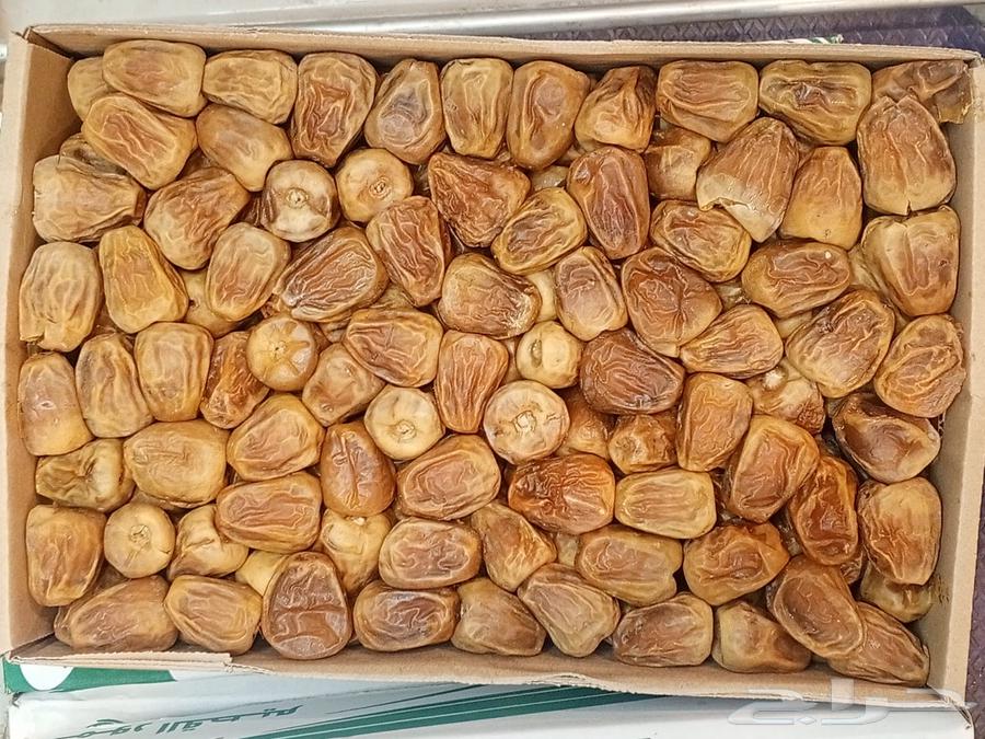 Twisted Sugar Dates64509448345601111