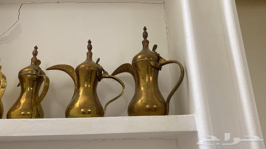 حي الورود بريده64508789186817112