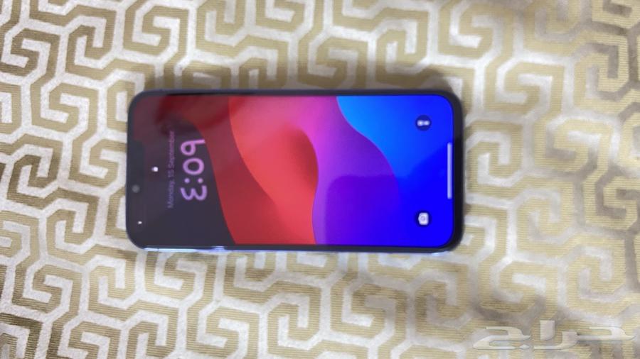 iPhone 13 Pro Max 1TB64503898662402111