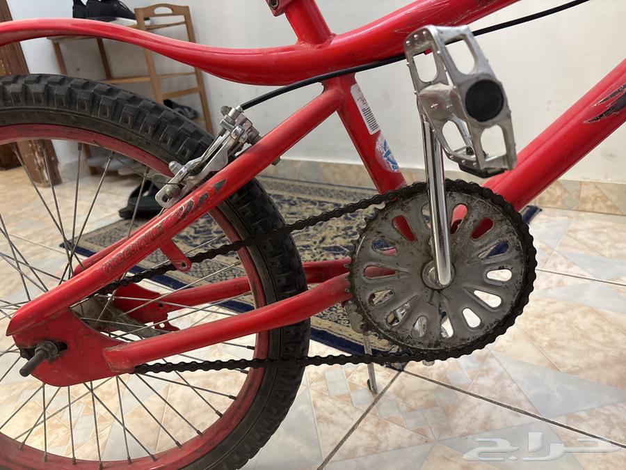 سيكل كوبرا نظيف موجود معه دعامات64508761353987112