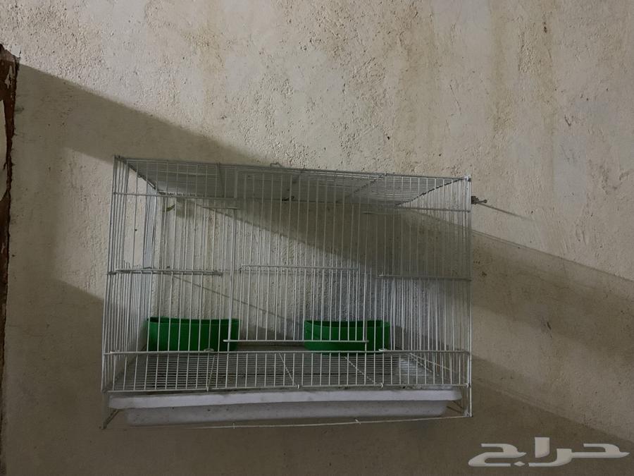 قفص للبيع كروان روز64510563635713110