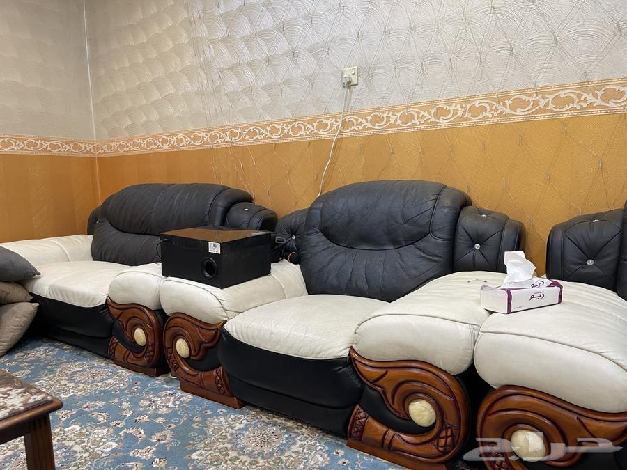 كنب جلد أبيض وأسود مستعمل64506006991746113