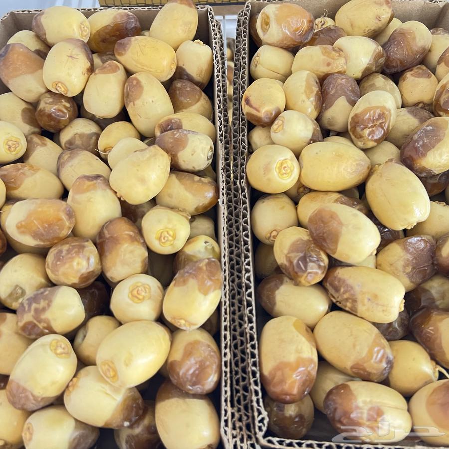 تمر النوع هلالي عضوي64508831445123110