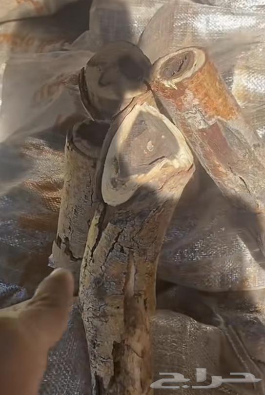 حطب سمر افريقي للبيع 10 كيلو ويوجد ضمان استرجاع64504654626305110