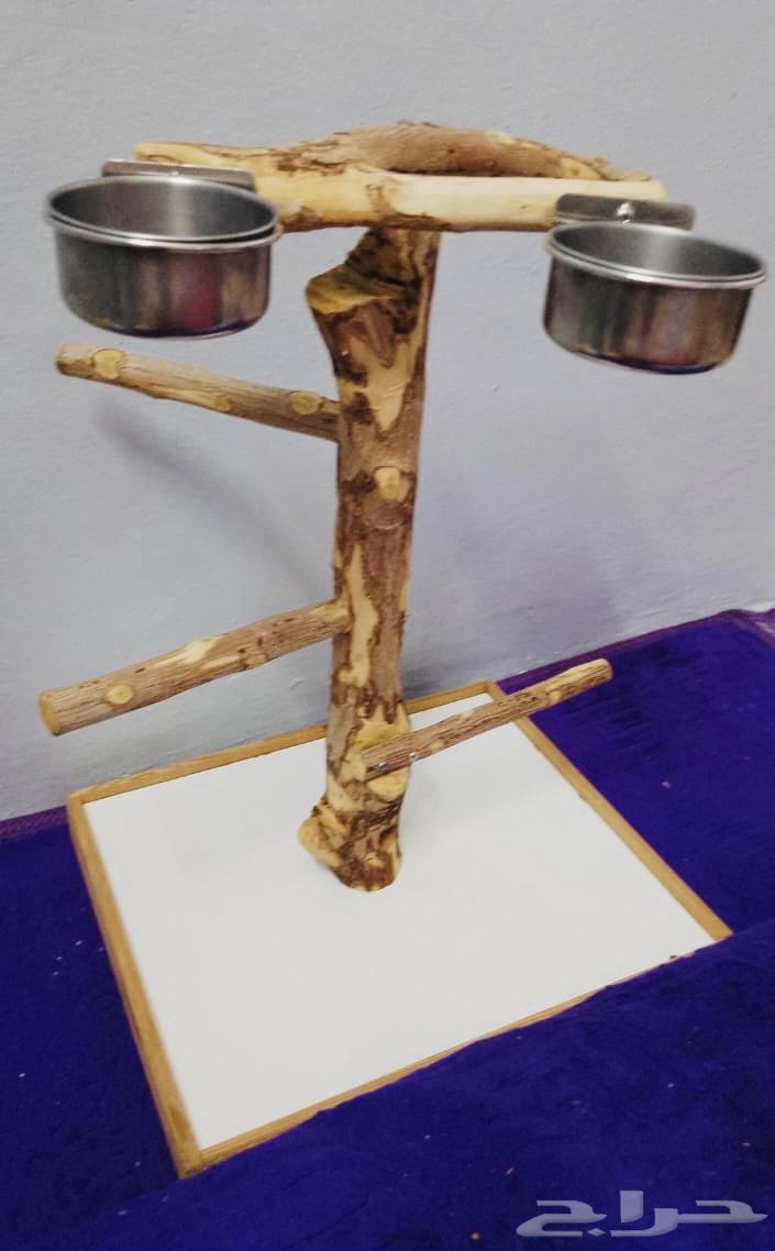 Bird Stand64504983967618111