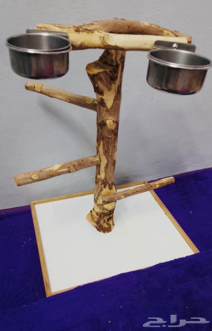 Bird Stand64504983967618110