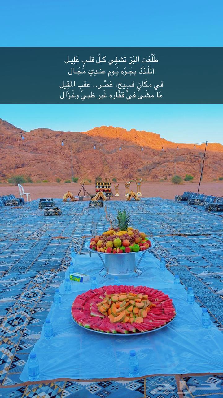 العز للرحلات البرية64148950185217110